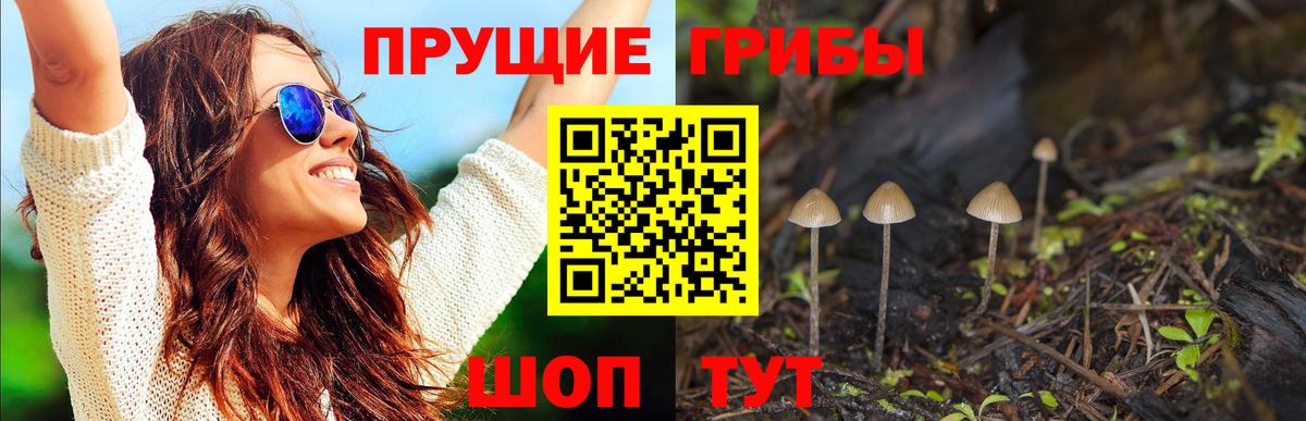 Алатырь  Галлюциногенные грибы GOLDEN TEACHER  Вход с VPN 
